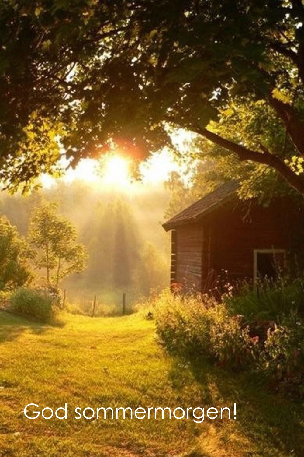 God sommermorgen!
