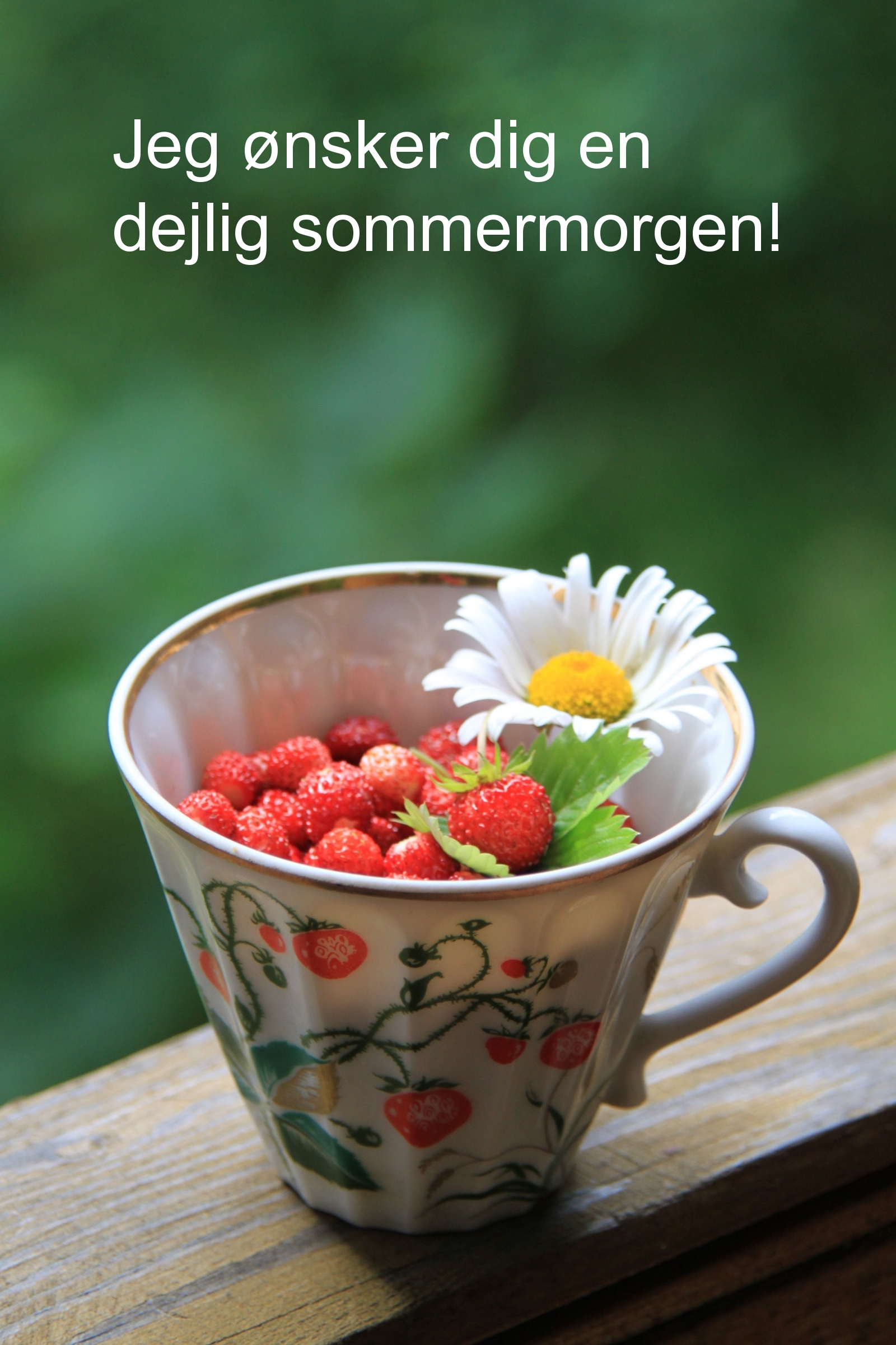 Jeg ønsker dig en dejlig sommermorgen!