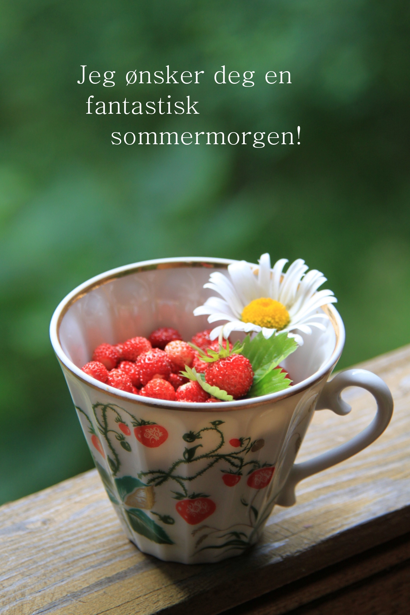 Jeg ønsker deg en fantastisk sommermorgen!