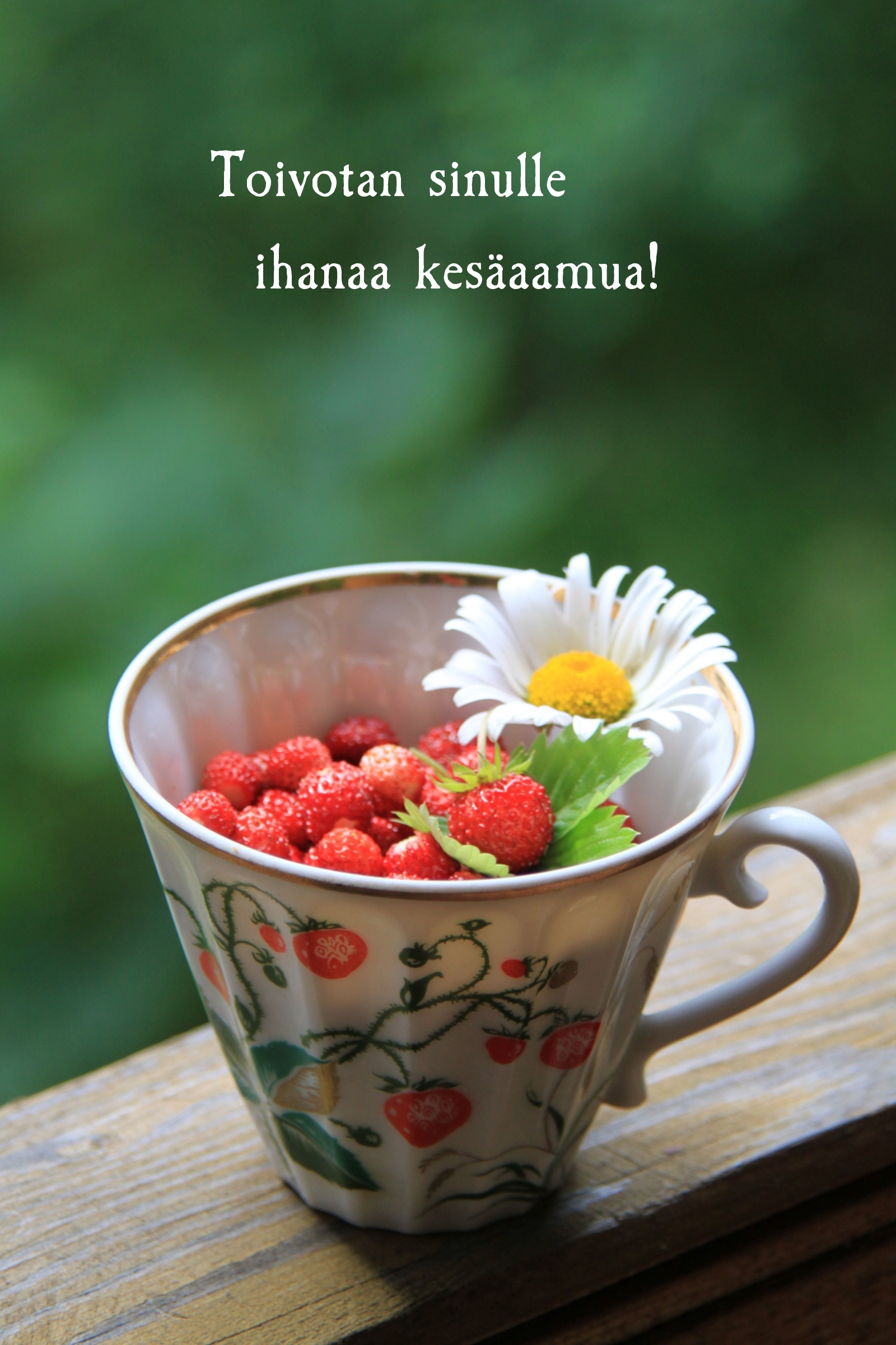 Toivotan sinulle ihanaa kesäaamua!