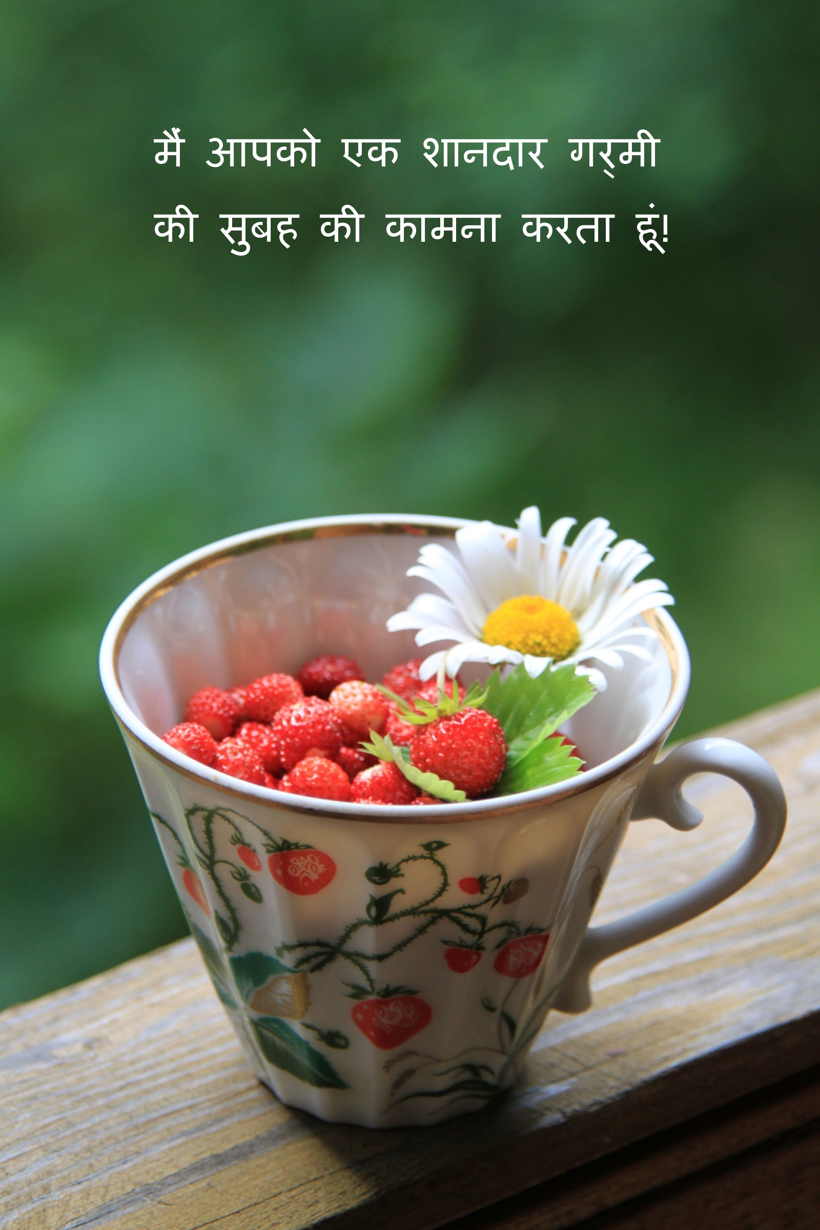 मैं आपको एक शानदार गर्मी की सुबह की कामना करता हूं!