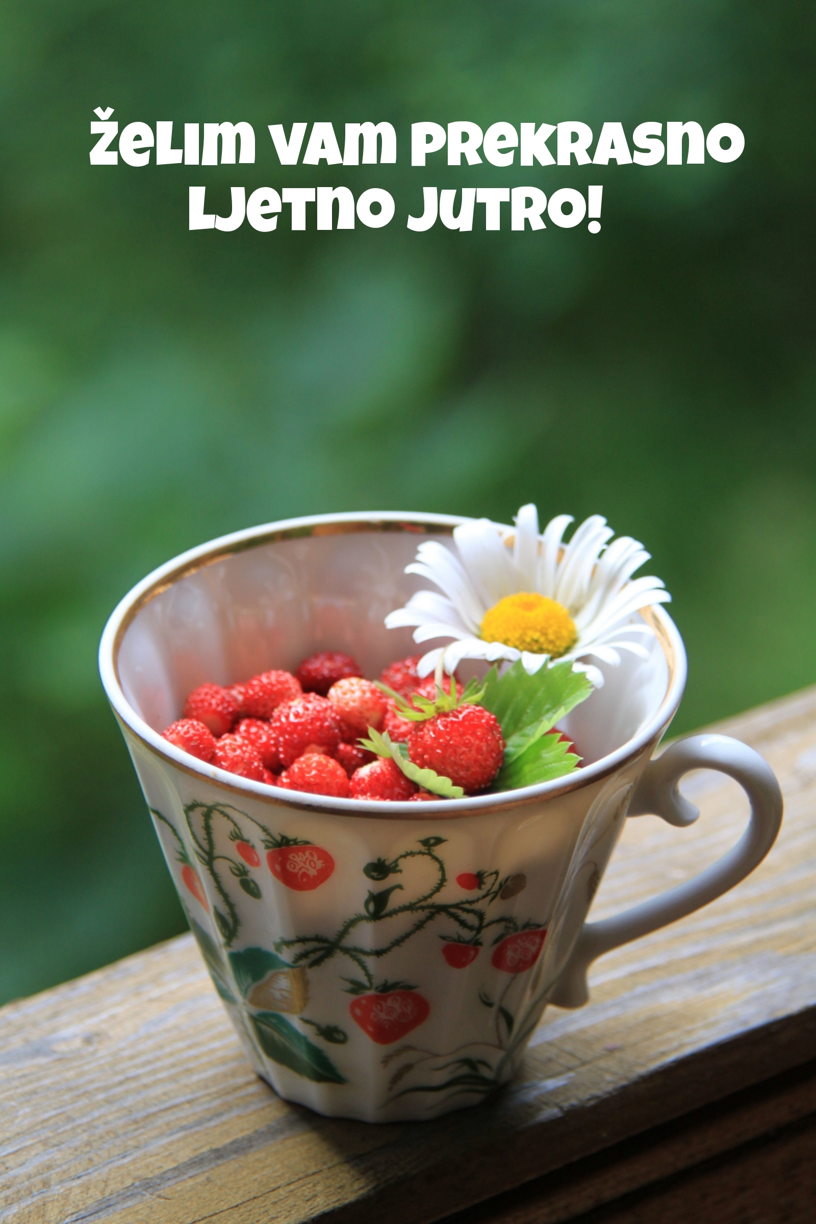 Želim vam prekrasno ljetno jutro!