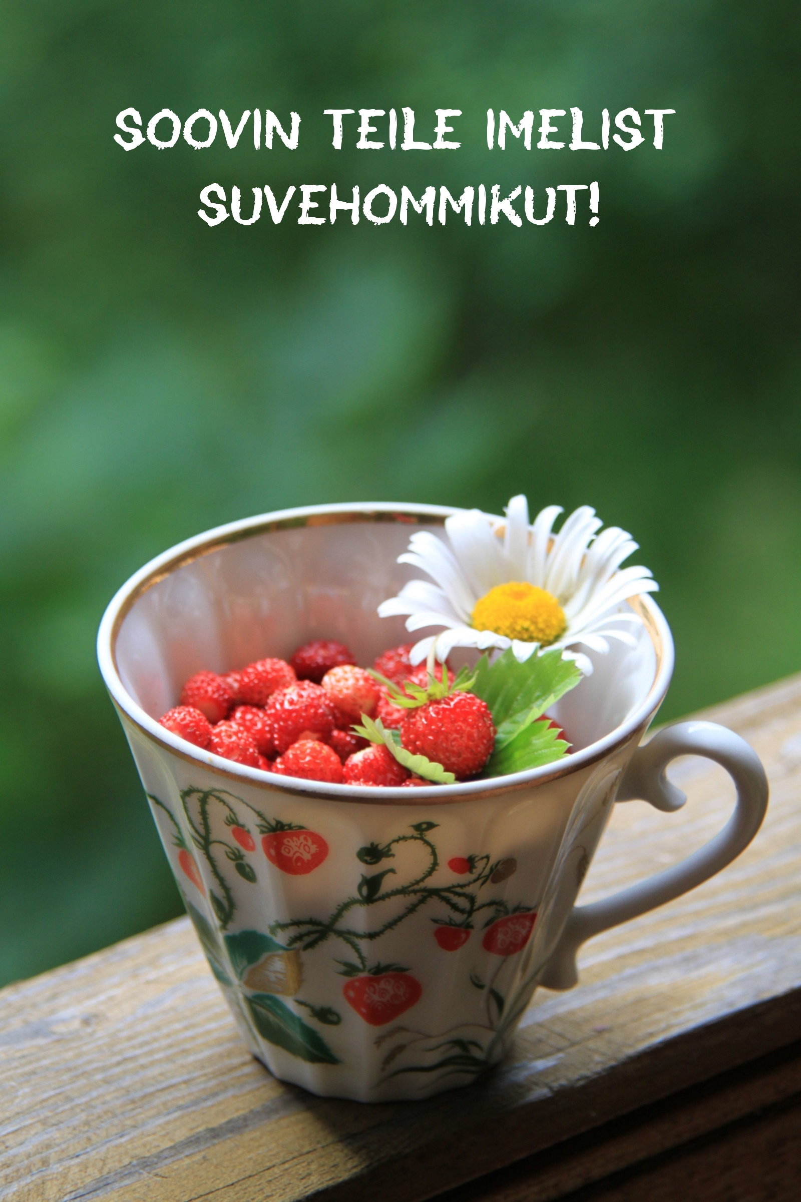 Soovin teile imelist suvehommikut!