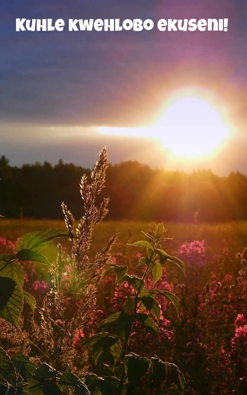 Kuhle kwehlobo ekuseni!