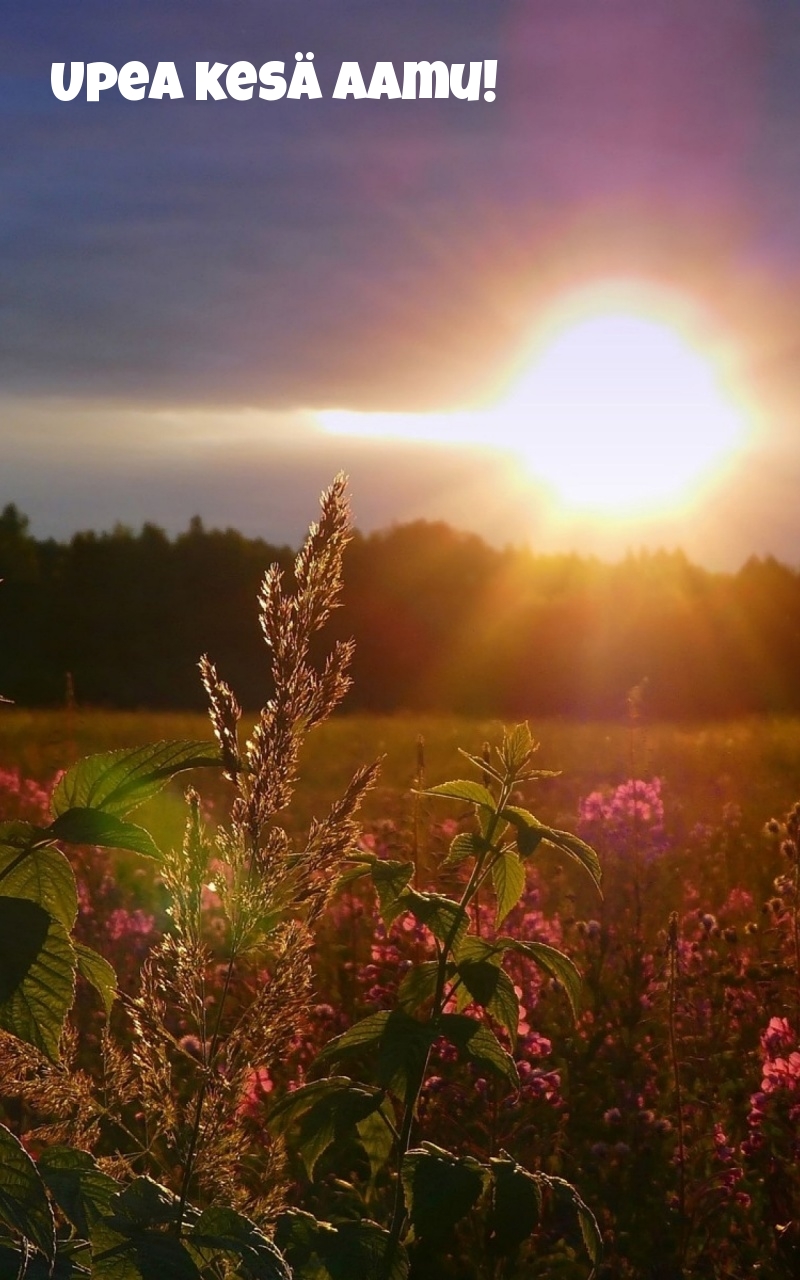 Upea kesä aamu!