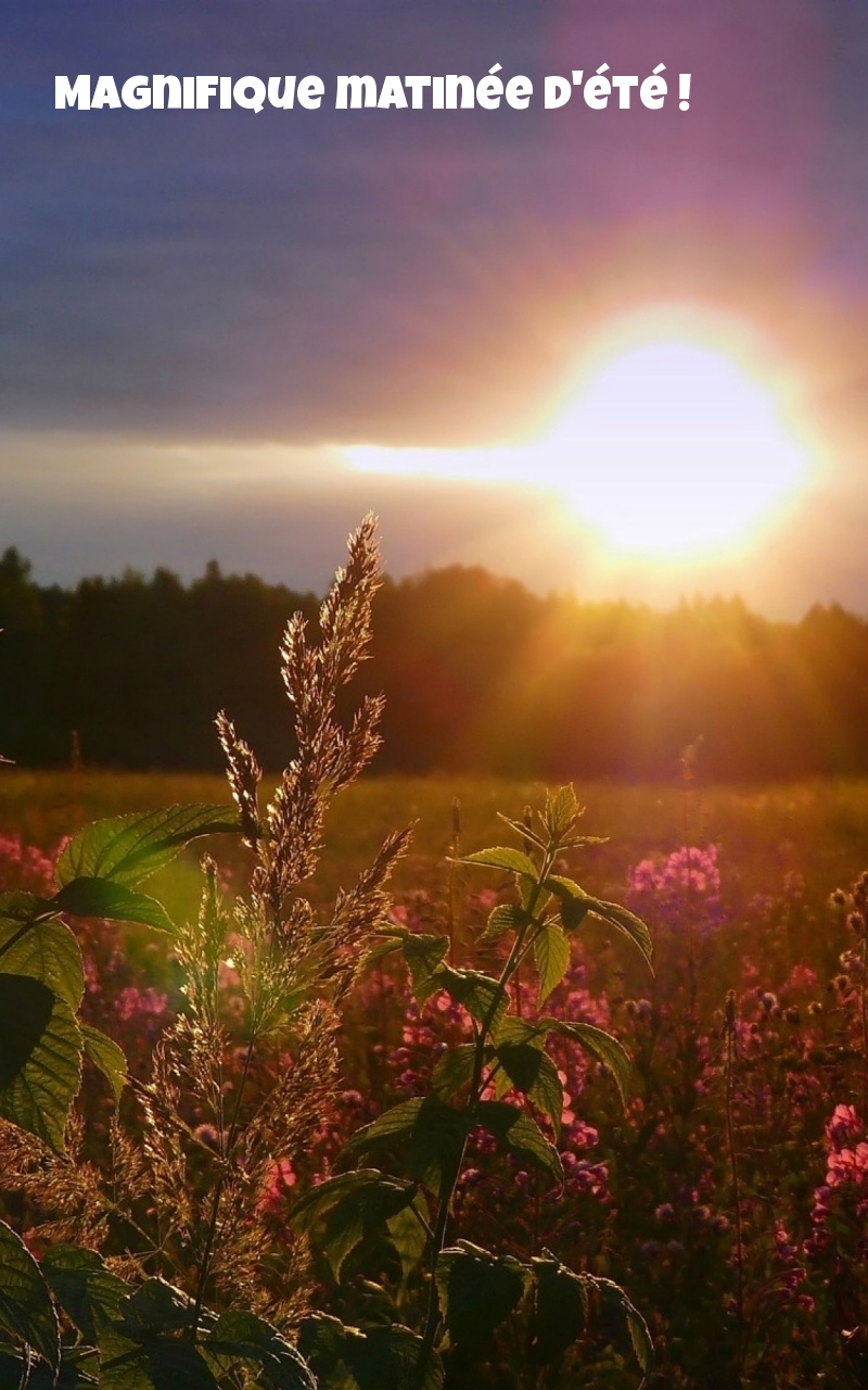 Magnifique matinée d