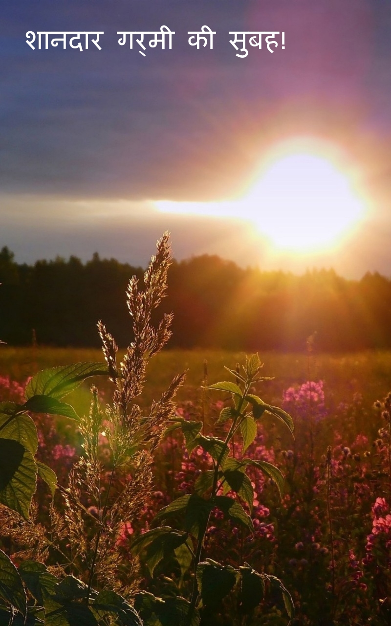 शानदार गर्मी की सुबह!