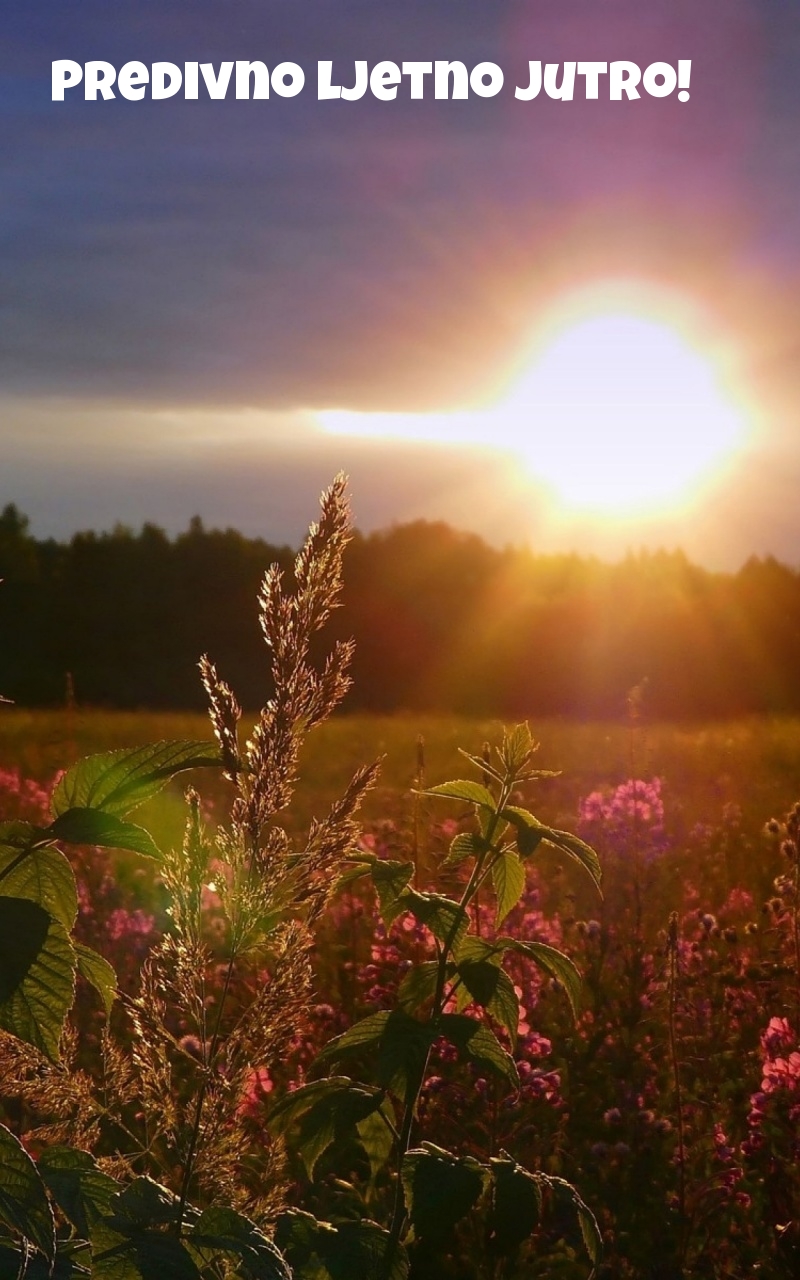 Predivno ljetno jutro!