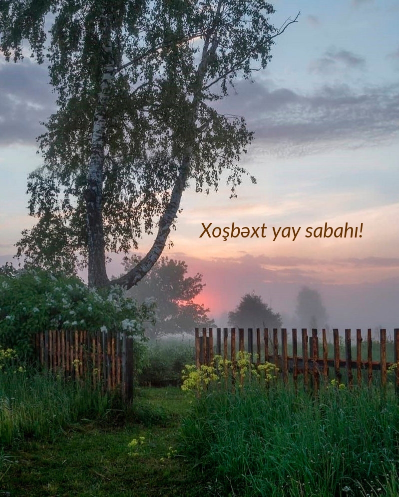 Xoşbəxt yay sabahı!