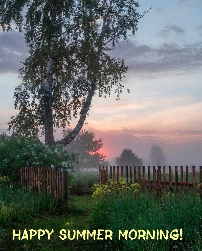 Happy summer morning!