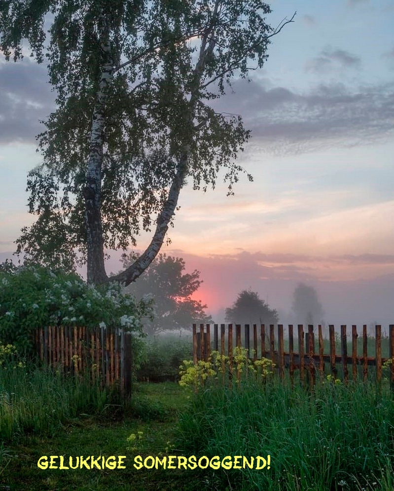 Gelukkige somersoggend!