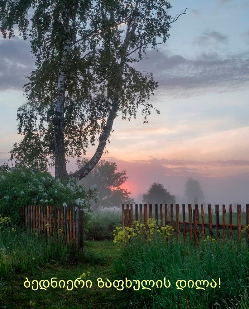 ბედნიერი ზაფხულის დილა!