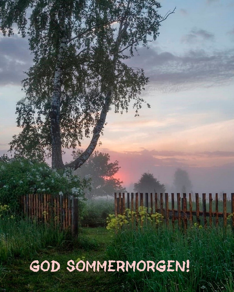 God sommermorgen!