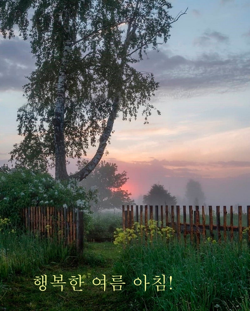 행복한 여름 아침!