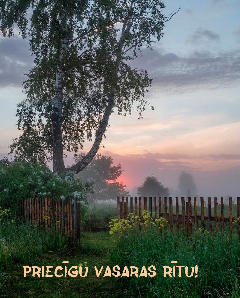 Priecīgu vasaras rītu!