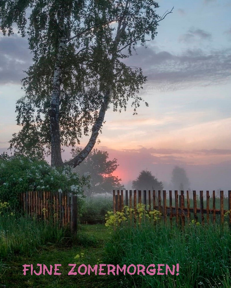 Fijne zomermorgen!