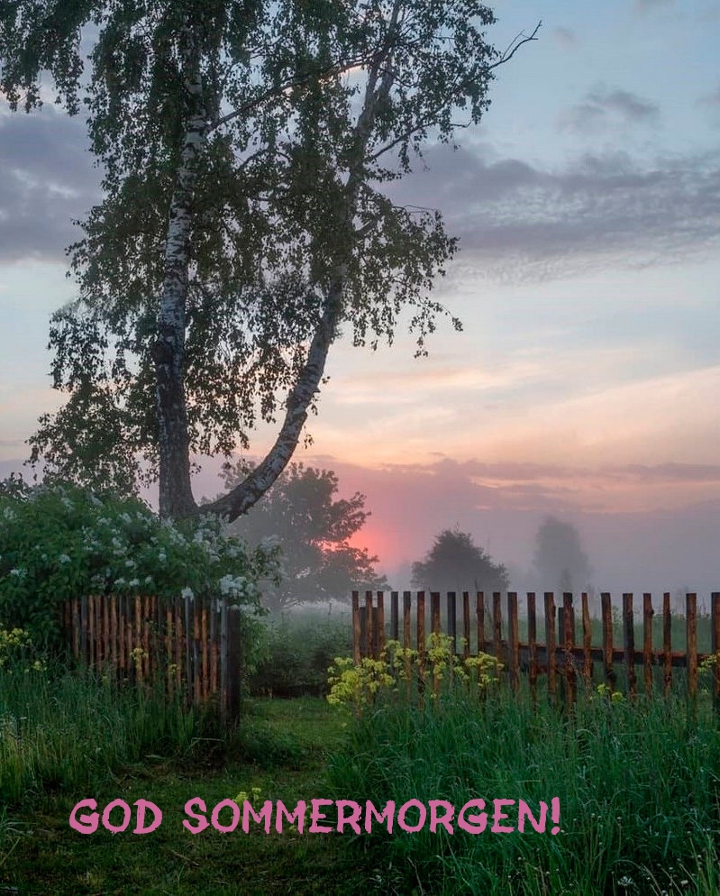 God sommermorgen!