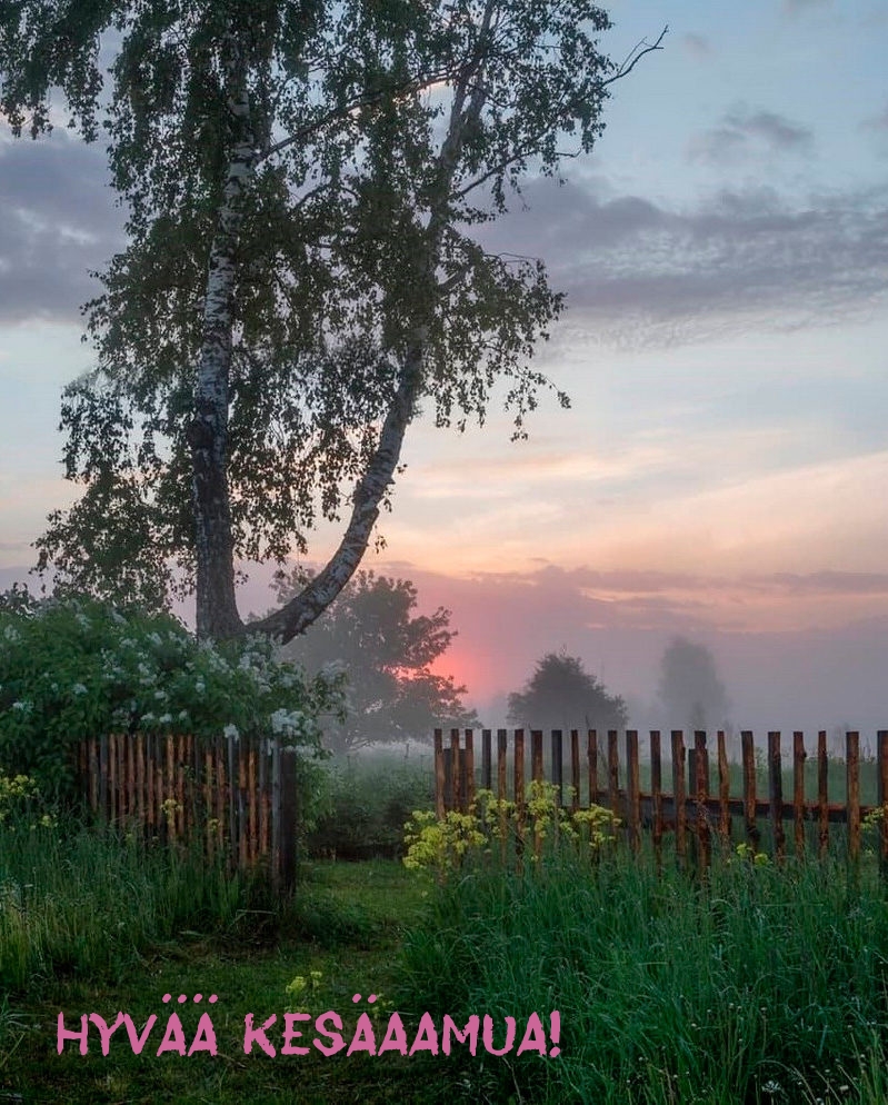 Hyvää kesäaamua!