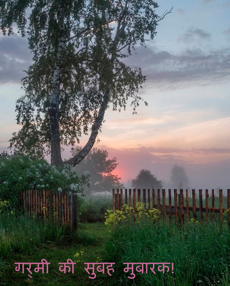 गर्मी की सुबह मुबारक!