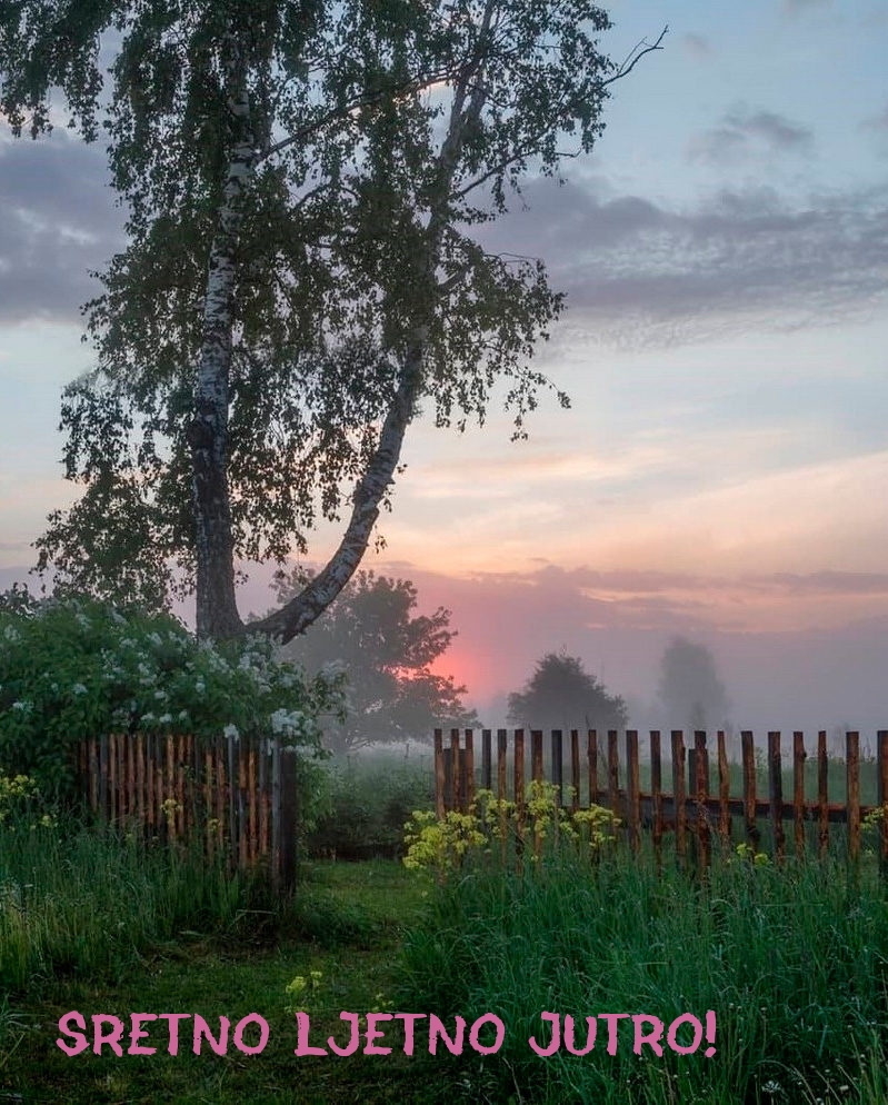 Sretno ljetno jutro!