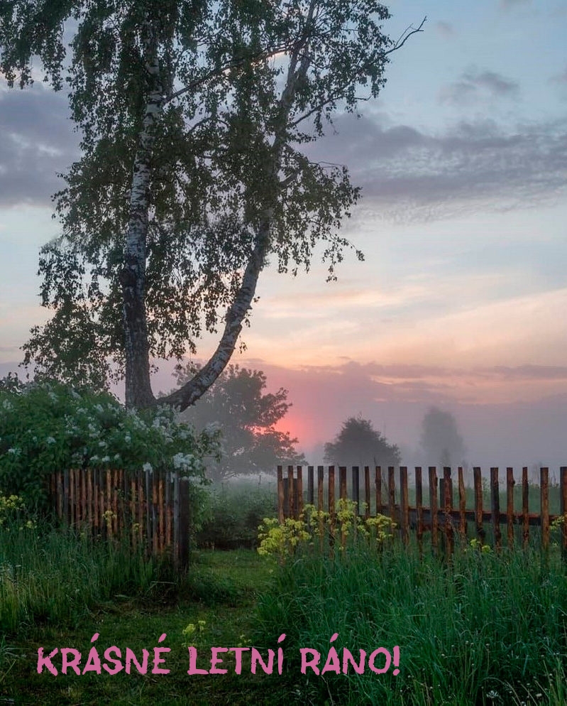 Krásné letní ráno!