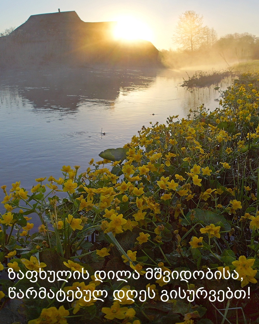 ზაფხულის დილა მშვიდობისა,  წარმატებულ დღეს გისურვებთ!
