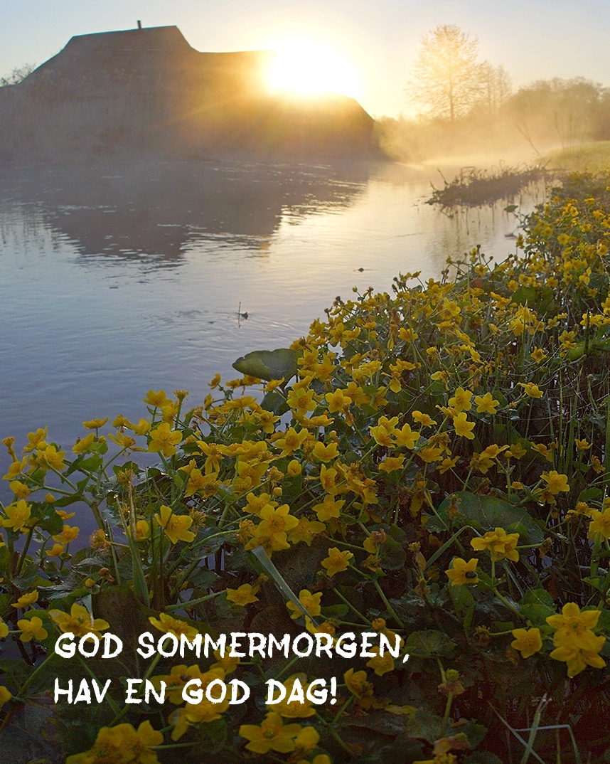 God sommermorgen, hav en god dag!