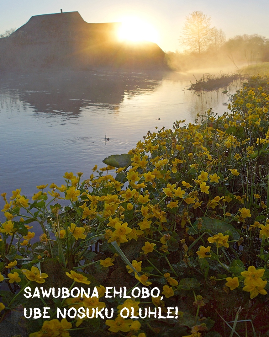 Sawubona ehlobo, ube nosuku oluhle!