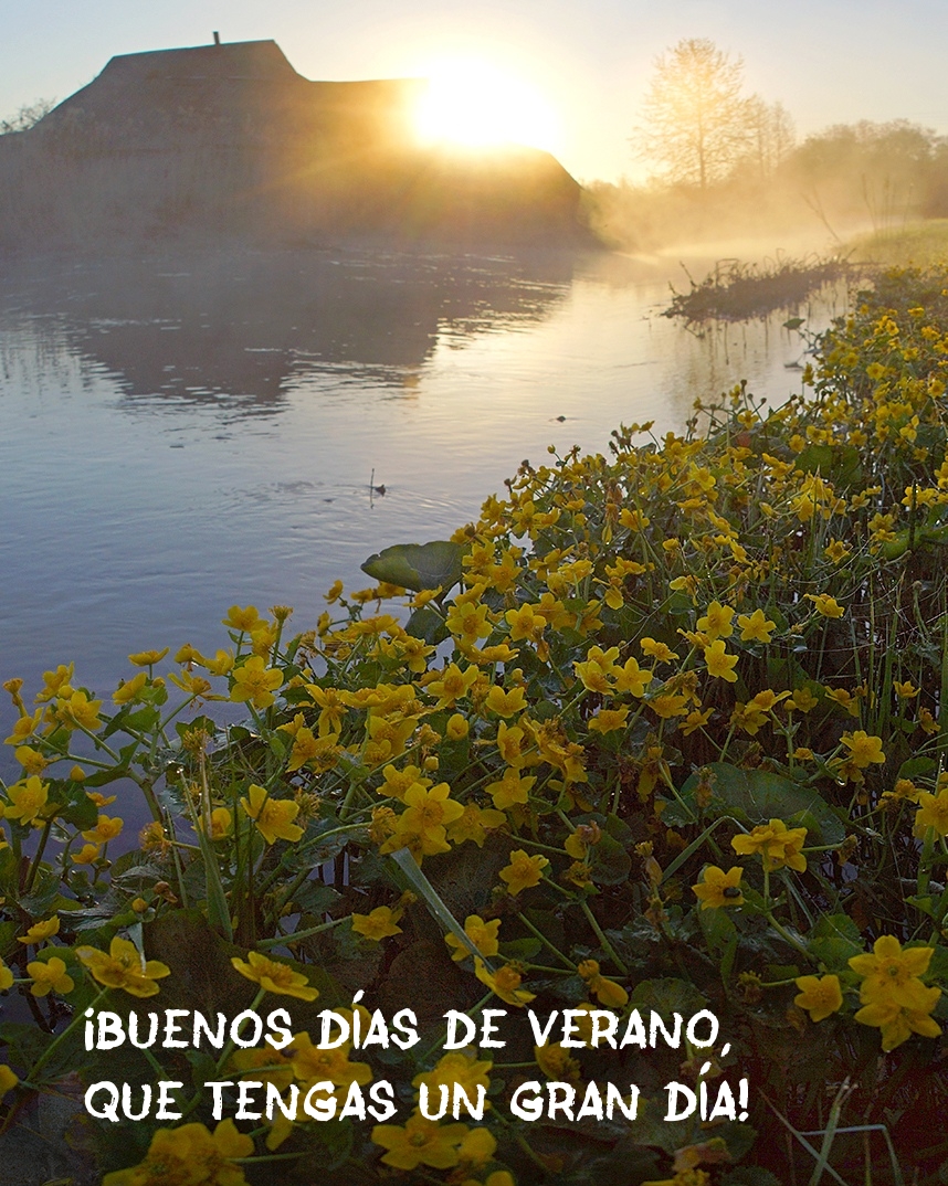¡Buenos días de verano, que tengas un gran día!