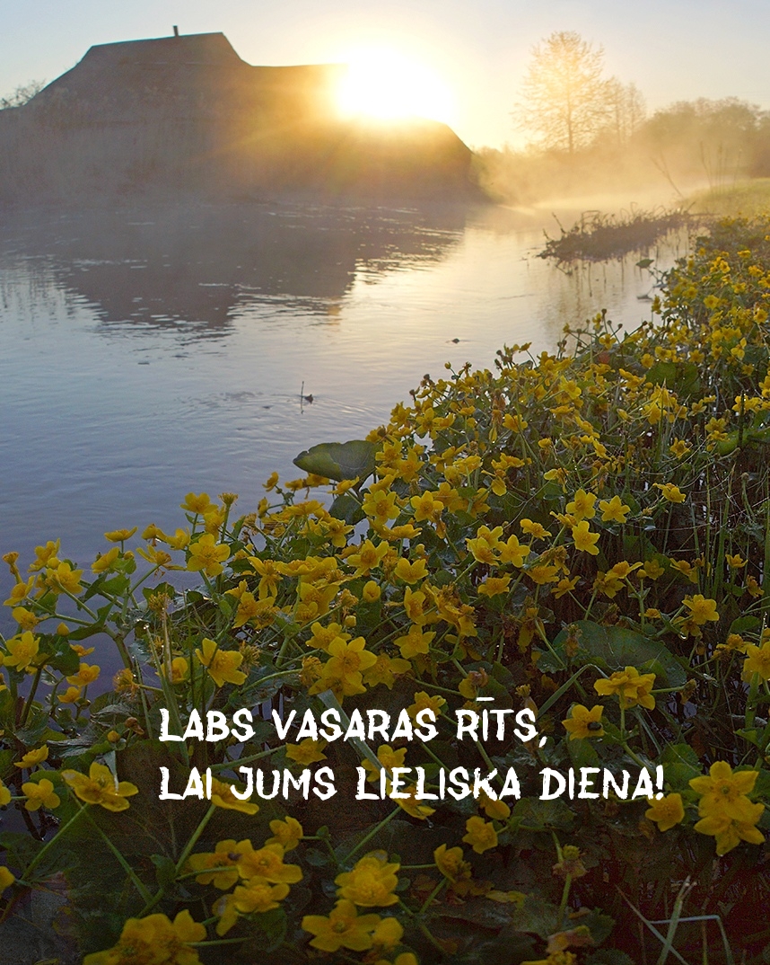 Labs vasaras rīts, lai jums lieliska diena!