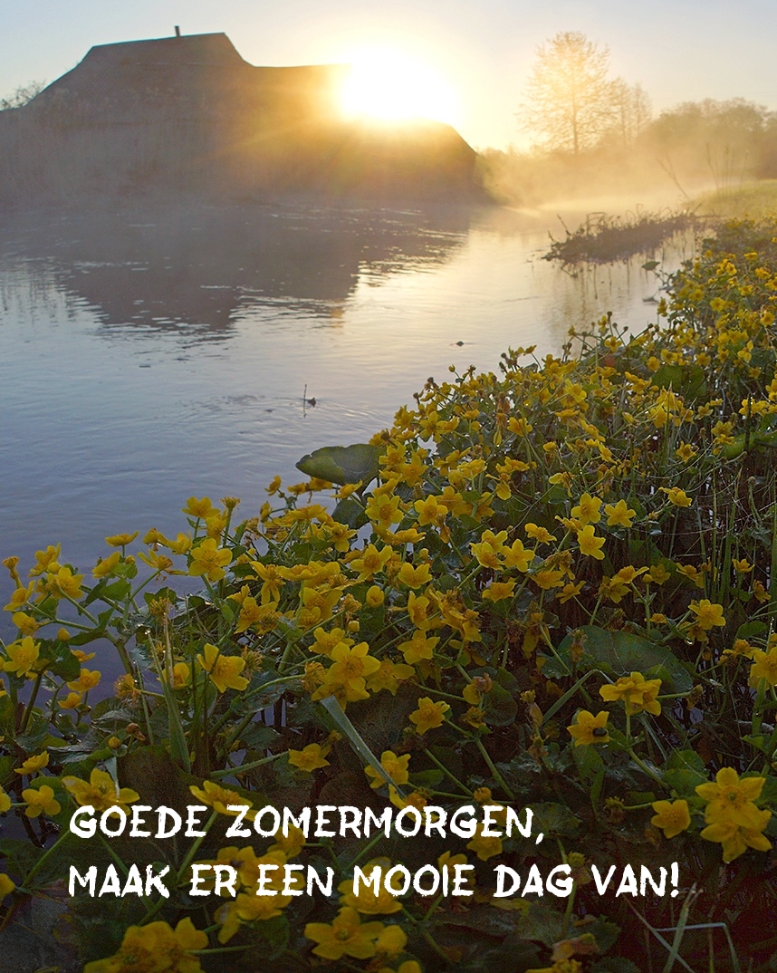 Goede zomermorgen, maak er een mooie dag van!