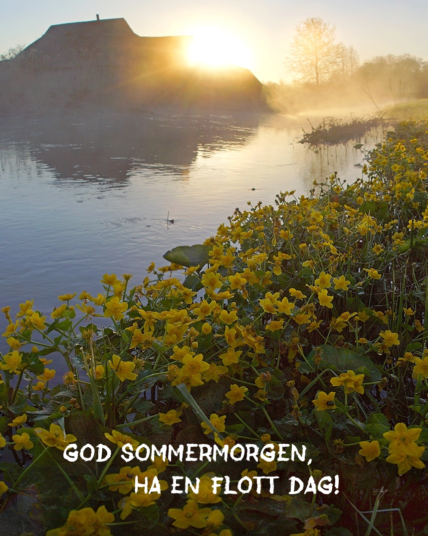 God sommermorgen, ha en flott dag!