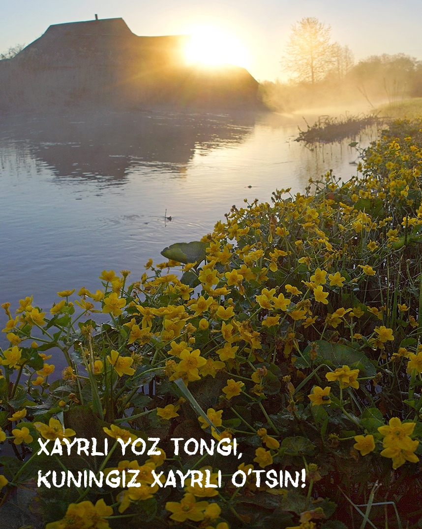 Xayrli yoz tongi, kuningiz xayrli o