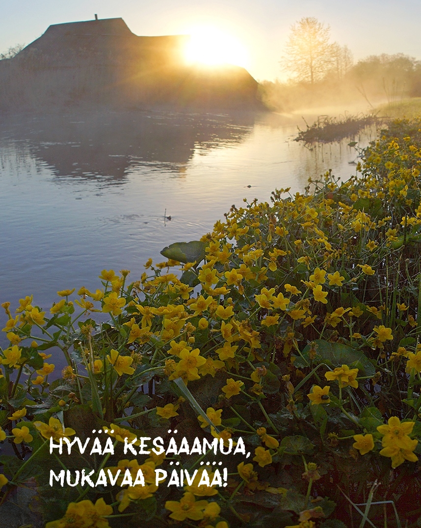 Hyvää kesäaamua, mukavaa päivää!