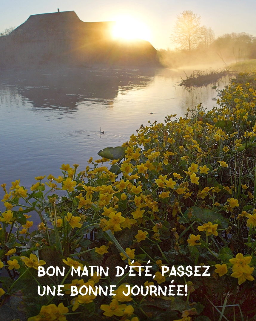 Bon matin d