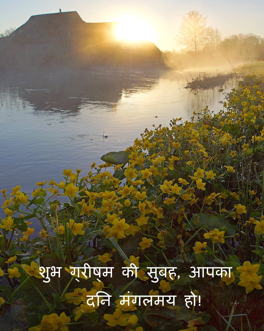 शुभ ग्रीष्म की सुबह, आपका दिन मंगलमय हो!