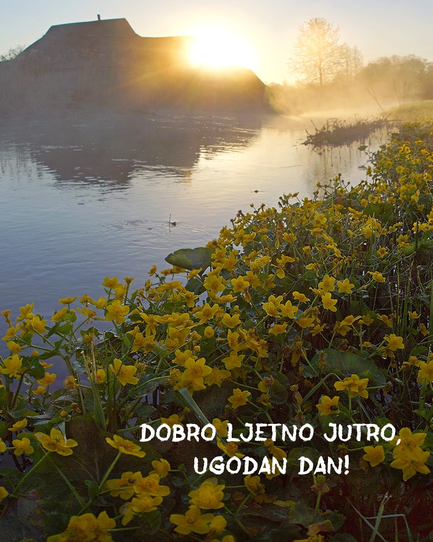 Dobro ljetno jutro, ugodan dan!