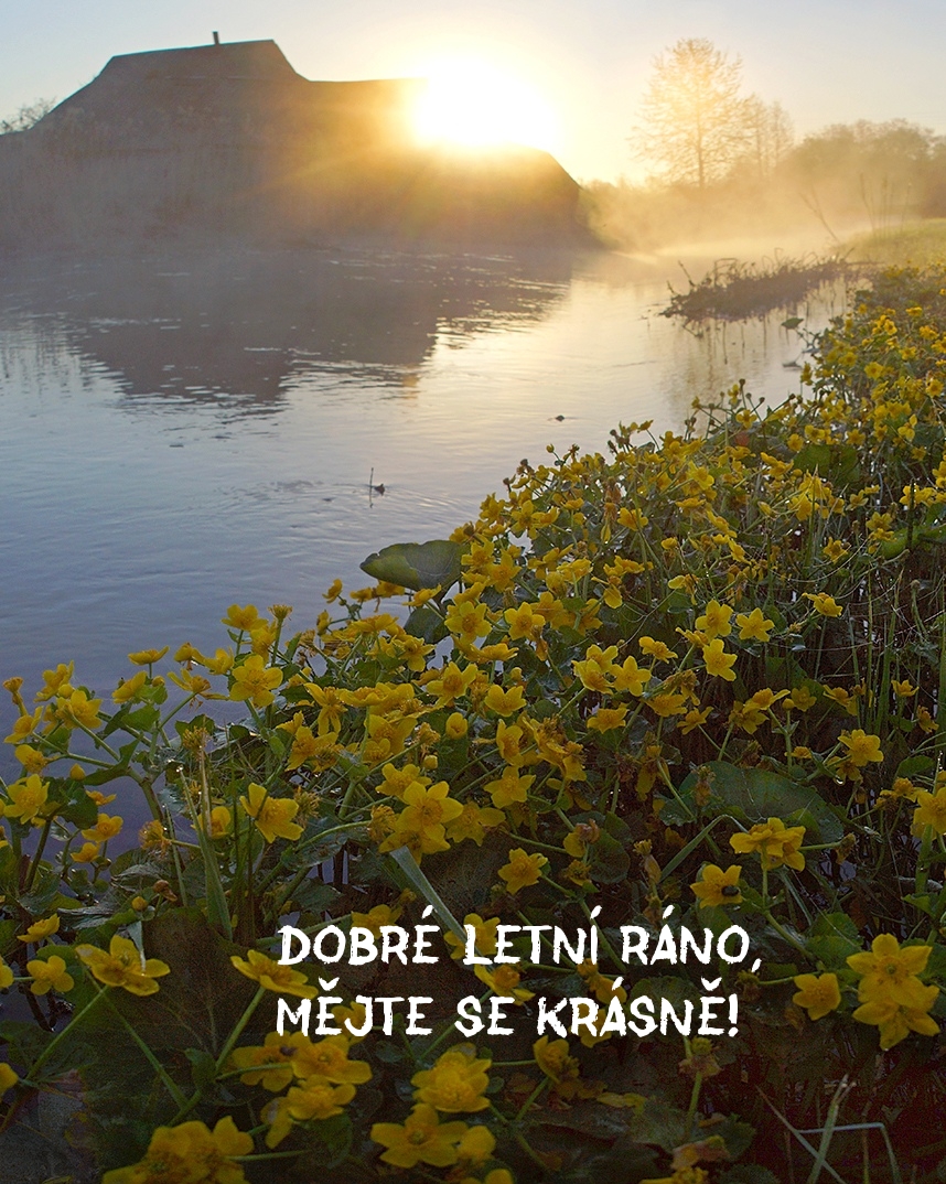 Dobré letní ráno, mějte se krásně!