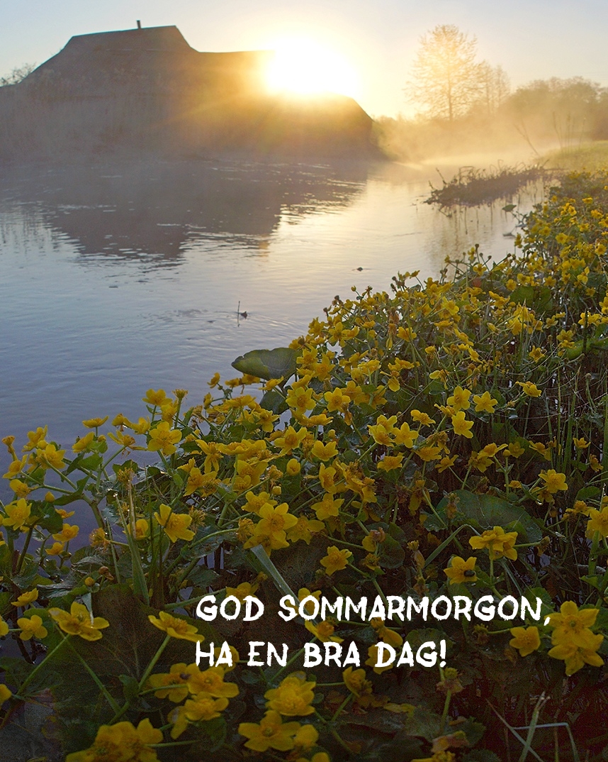 God sommarmorgon, ha en bra dag!