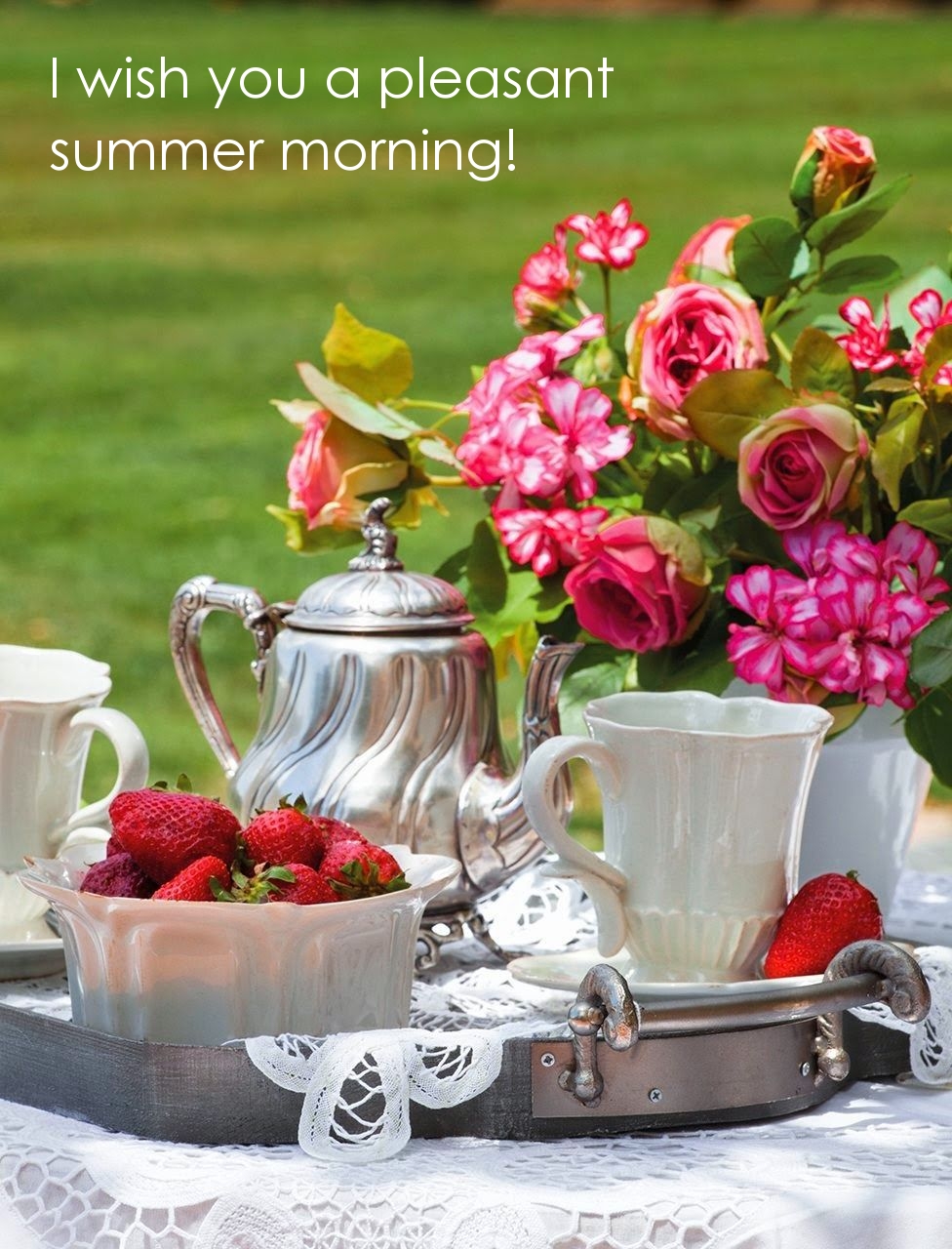 I wish you a pleasant summer morning!