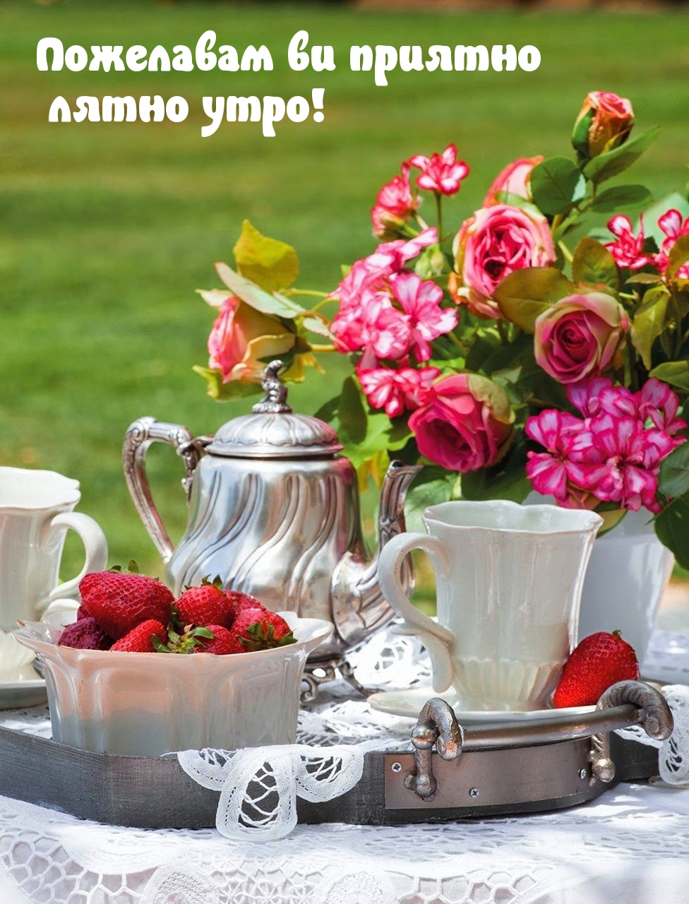 Пожелавам ви приятно лятно утро!