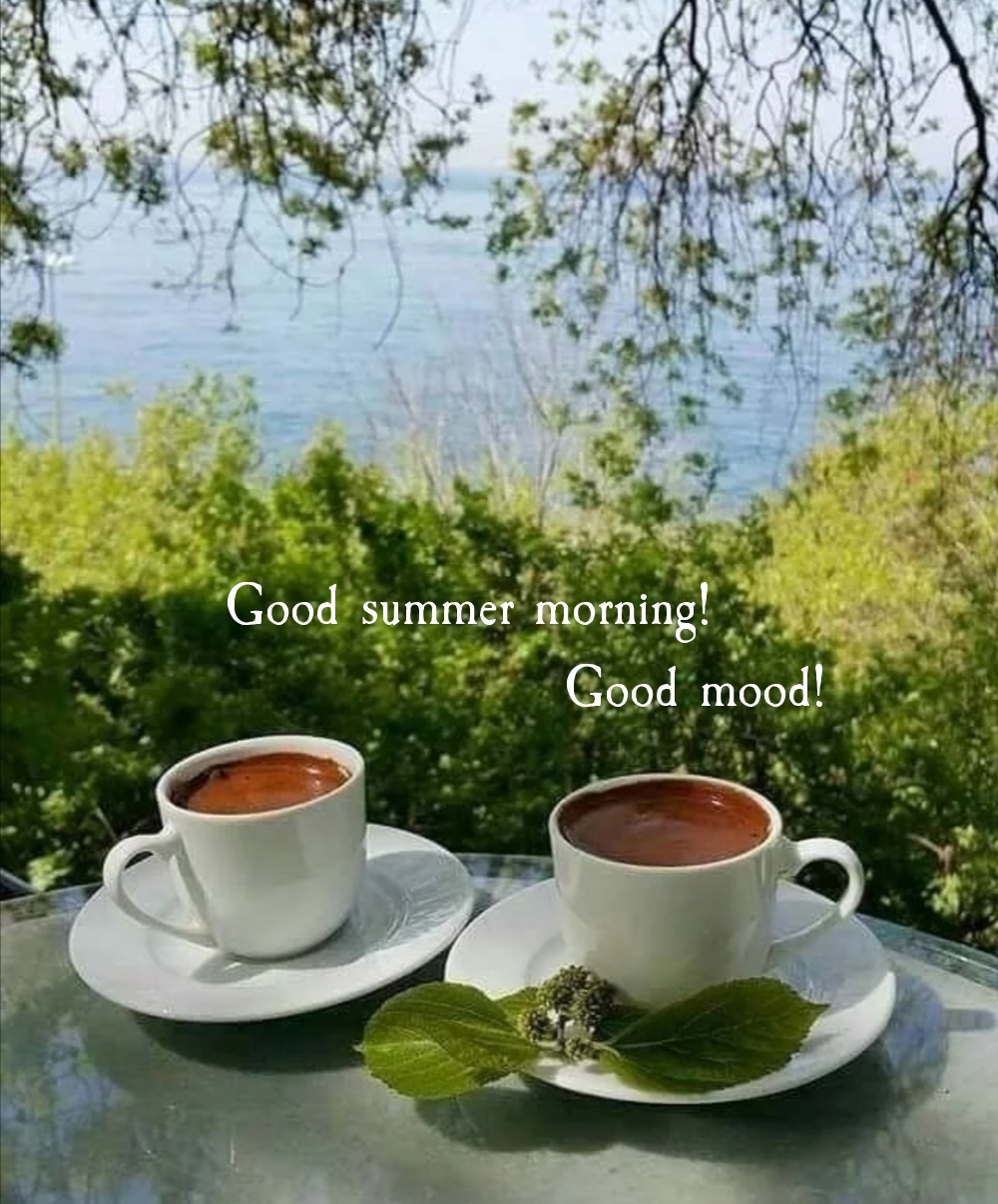 Good summer morning! Good mood!