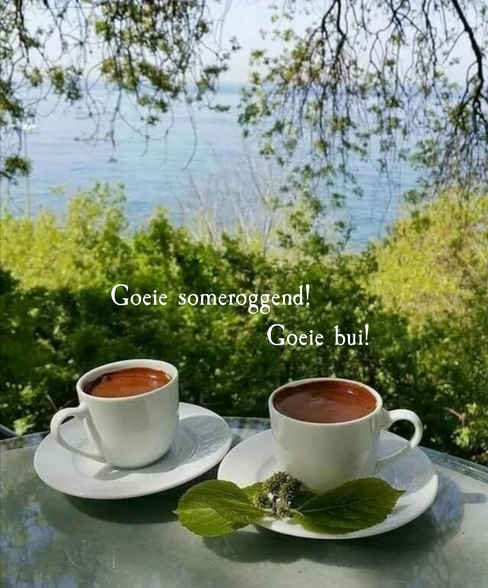 Goeie someroggend! Goeie bui!