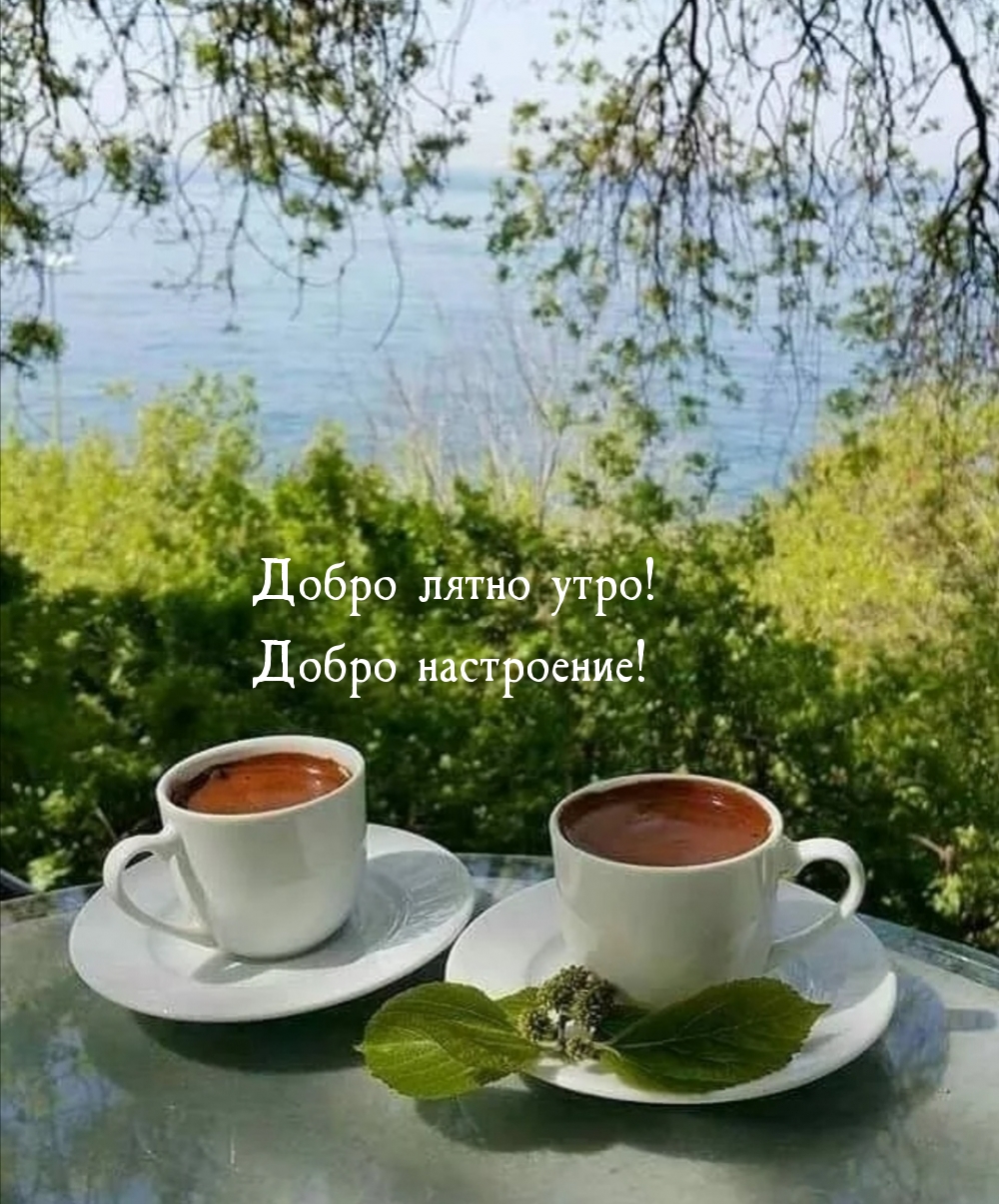 Добро лятно утро! Добро настроение!