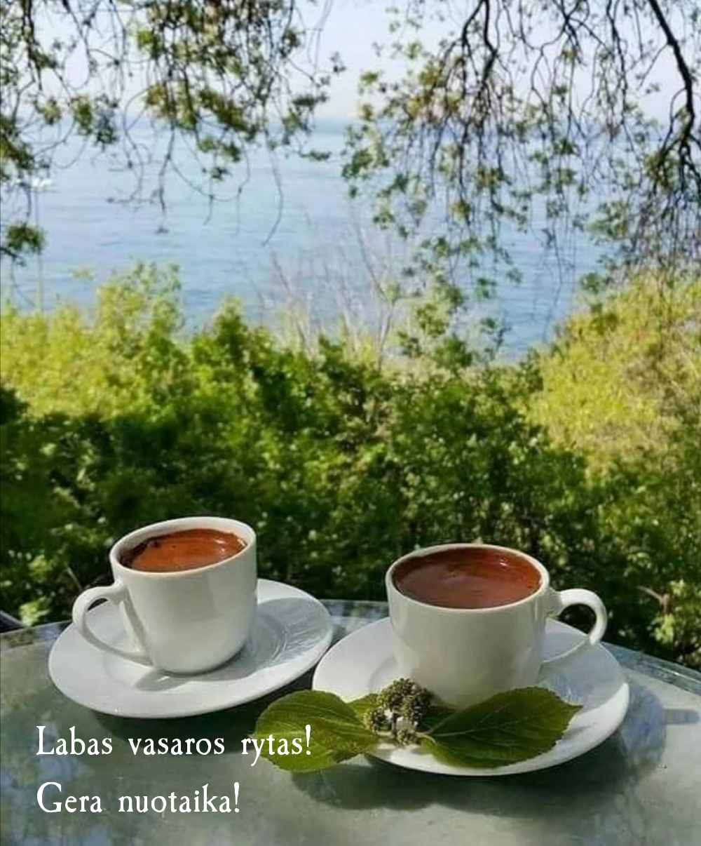 Labas vasaros rytas! Gera nuotaika!