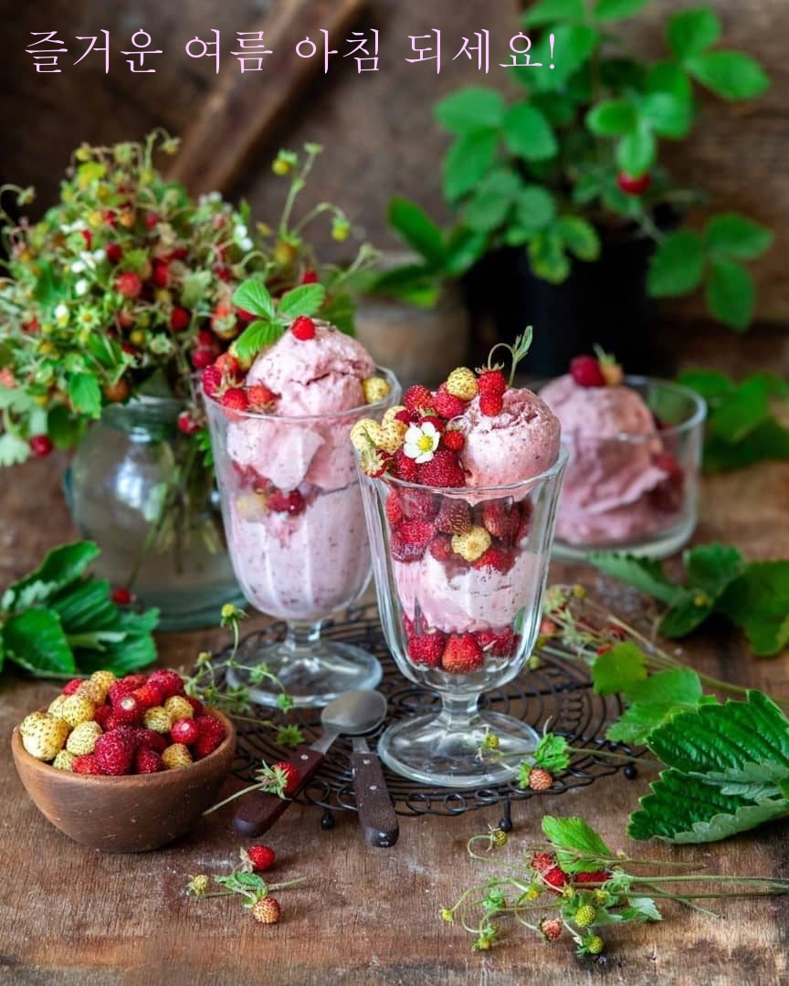 즐거운 여름 아침 되세요!