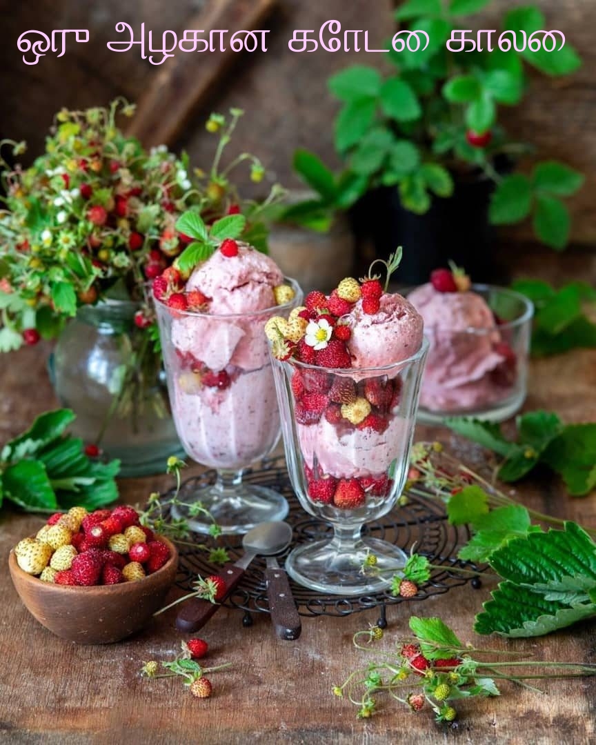 ஒரு அழகான கோடை காலை!