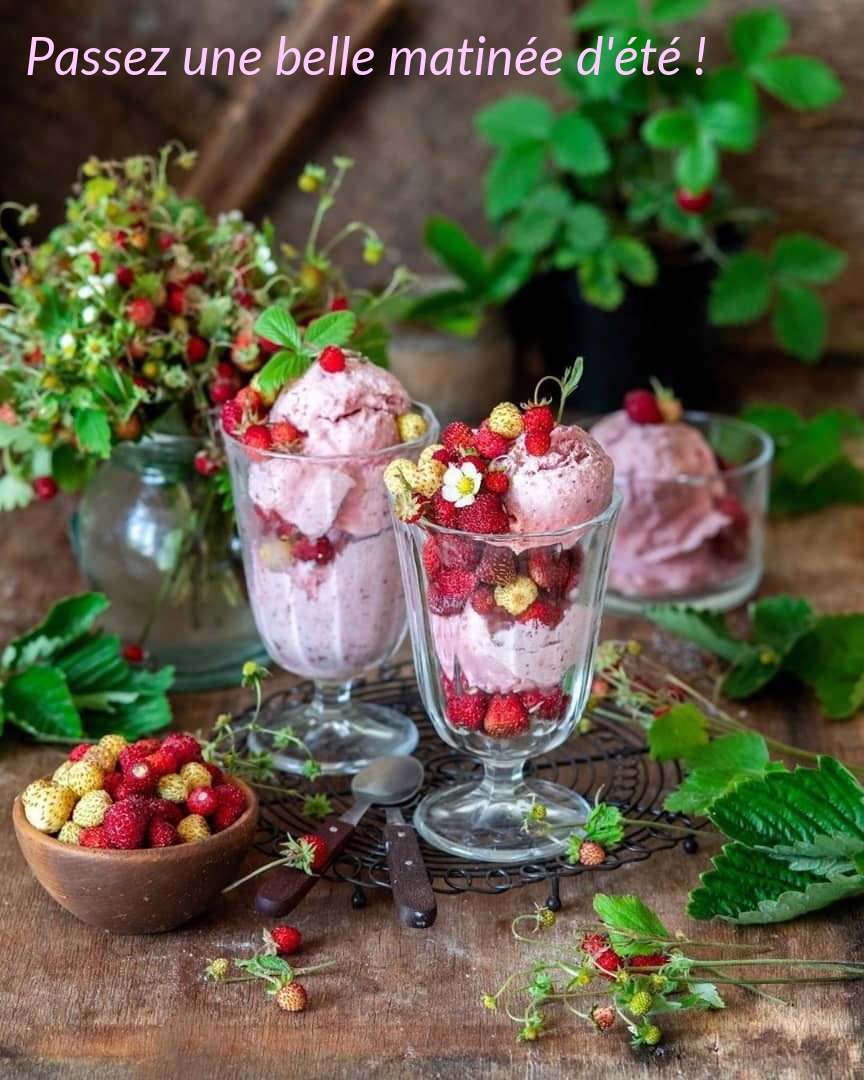 Mějte krásné letní ráno!