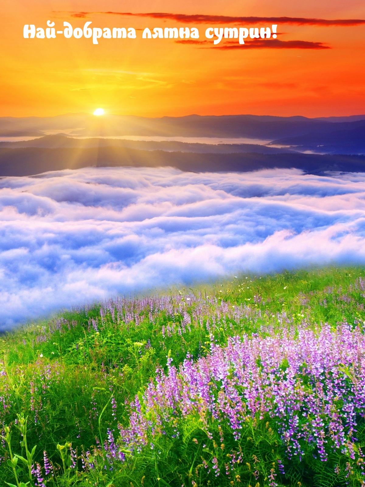 Най-добрата лятна сутрин!