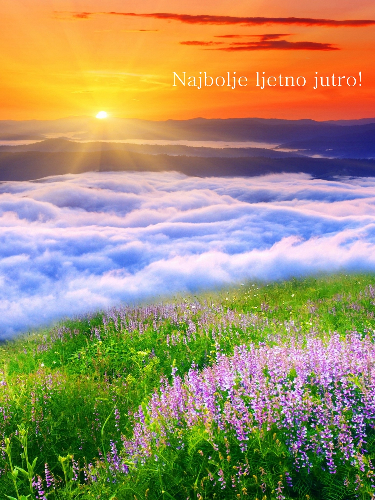 Najbolje ljetno jutro!